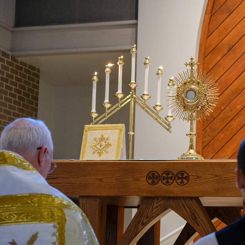 Priest and Altar Boy at Benediction - Catholic Stock Photo