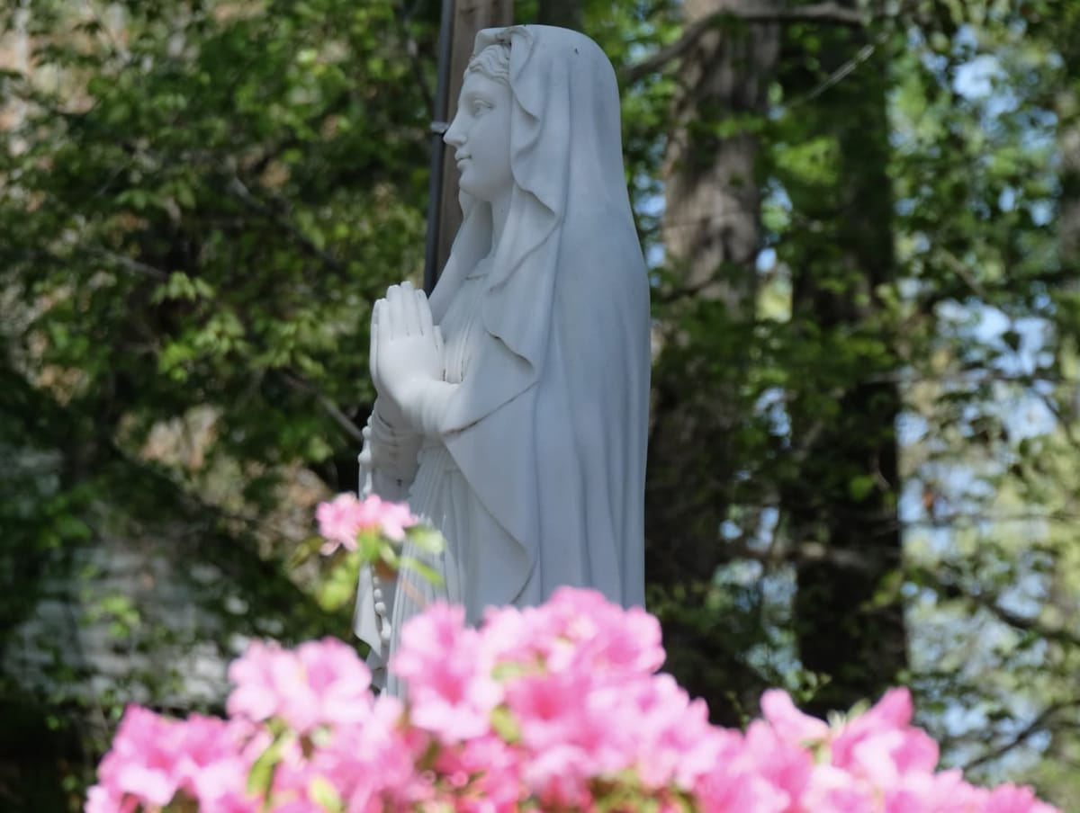 Statue of Virgin Mary with Flowers - Catholic Stock Photo