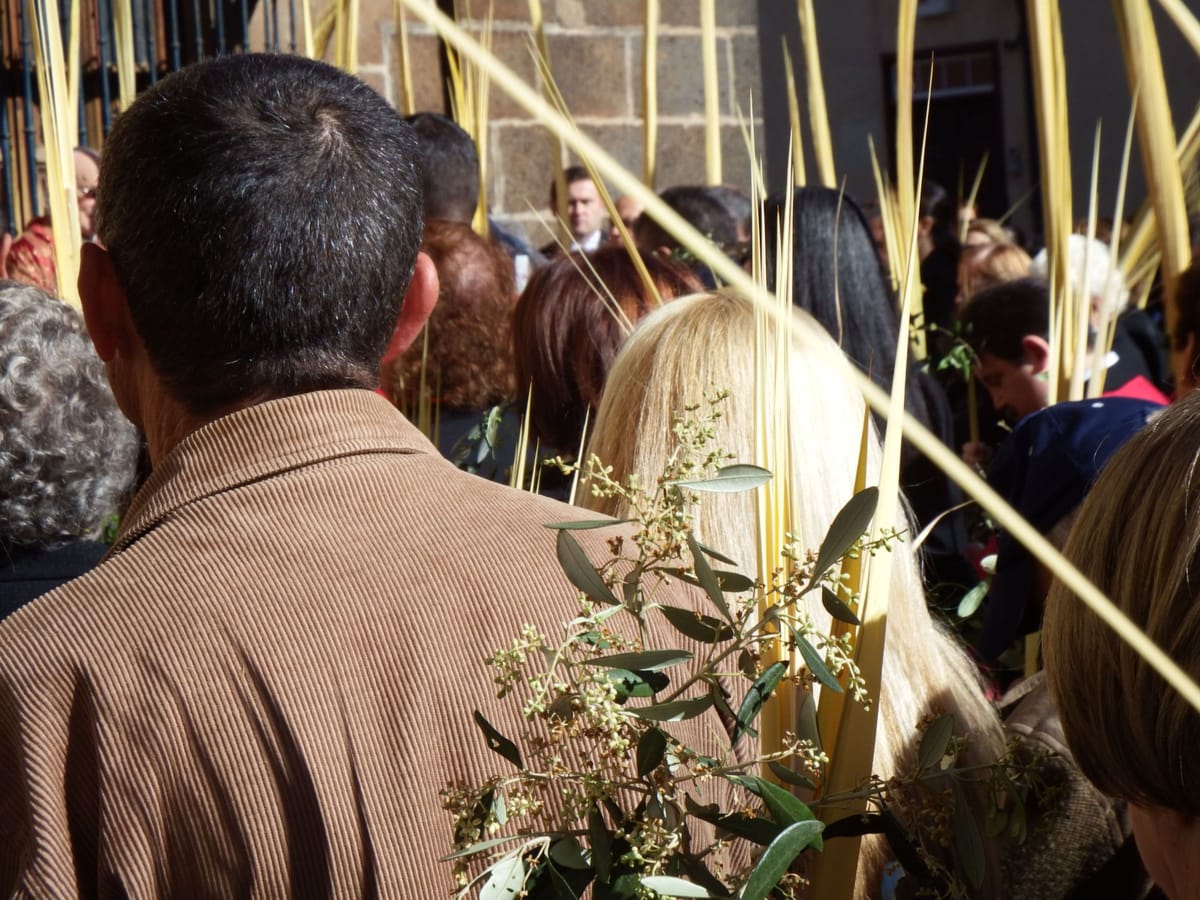 Palm Sunday Procession - Catholic Stock Photo